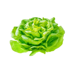 Téte de Salades (1kg)