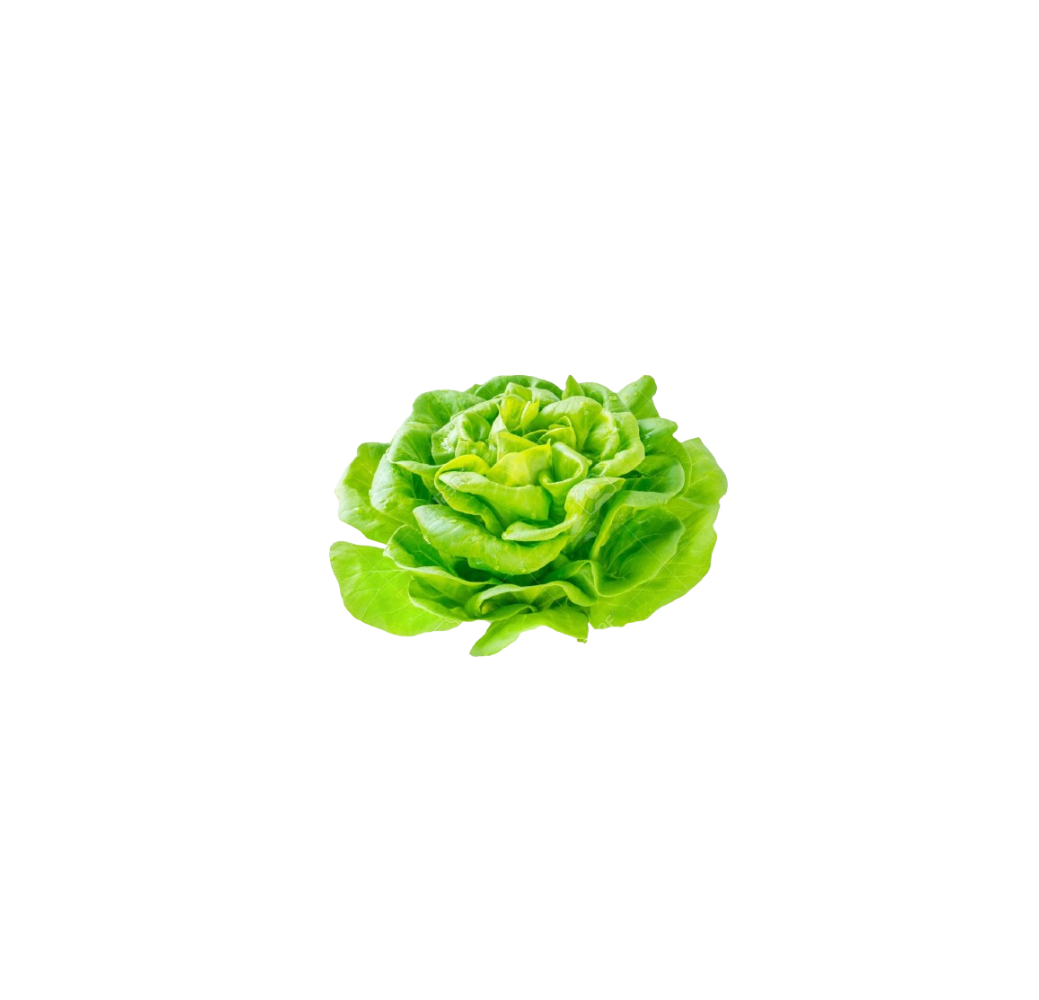 Téte de Salades (1kg)