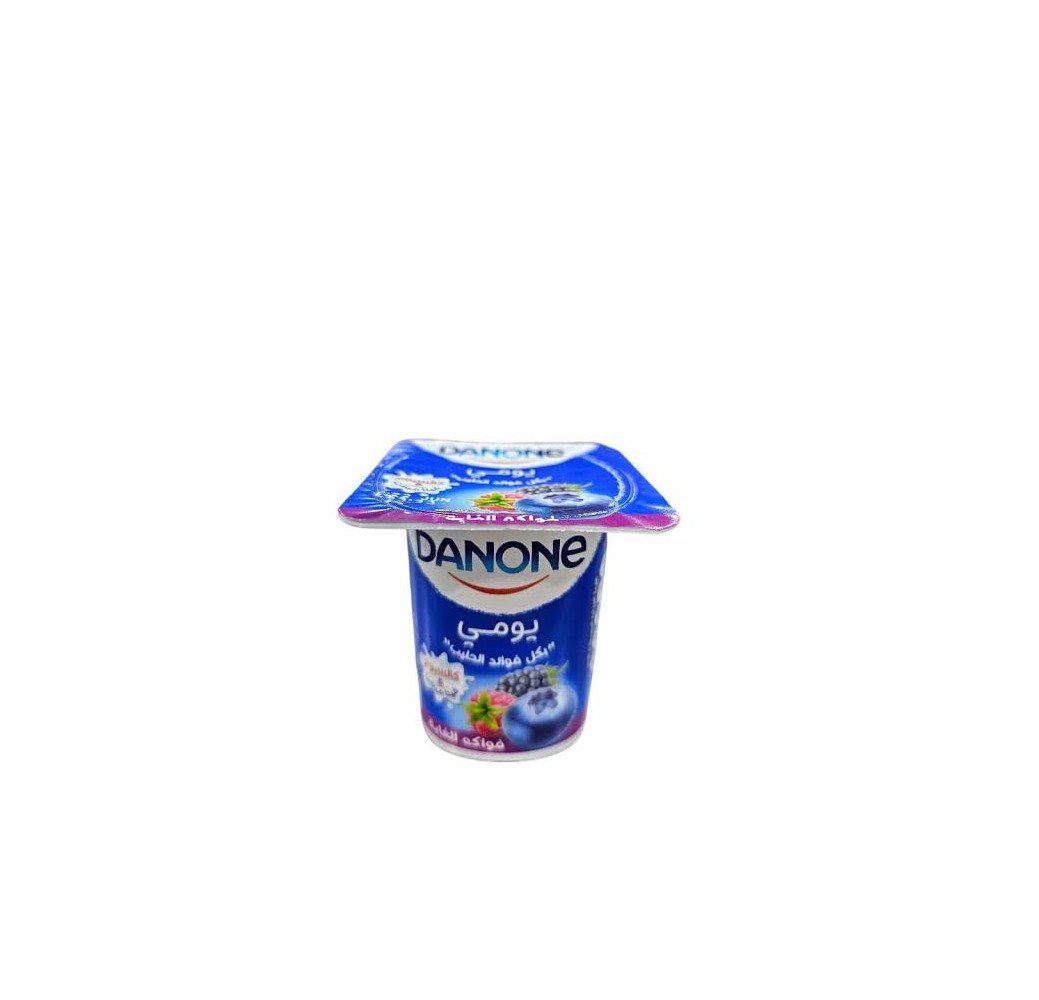 Yaourt DANONE Fruits Rouges 