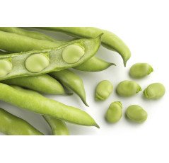 Haricot vert (1kg) 