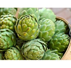 Artichaut (1kg) 
