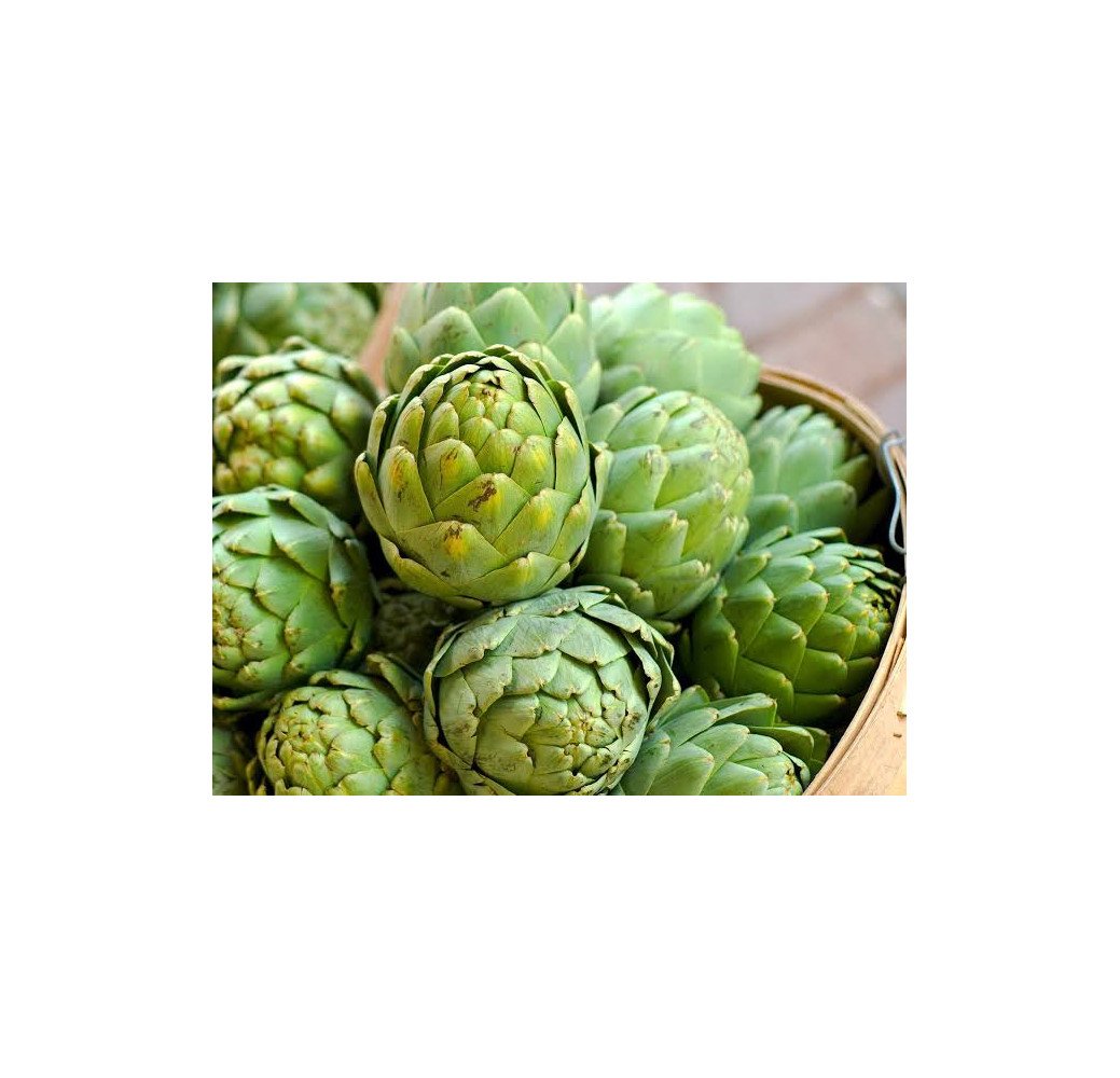Artichaut (1kg) 